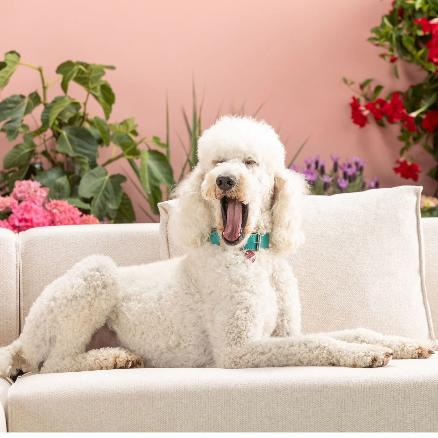 Ecksofa Infinity Ottomane Creme Links – Bild 5