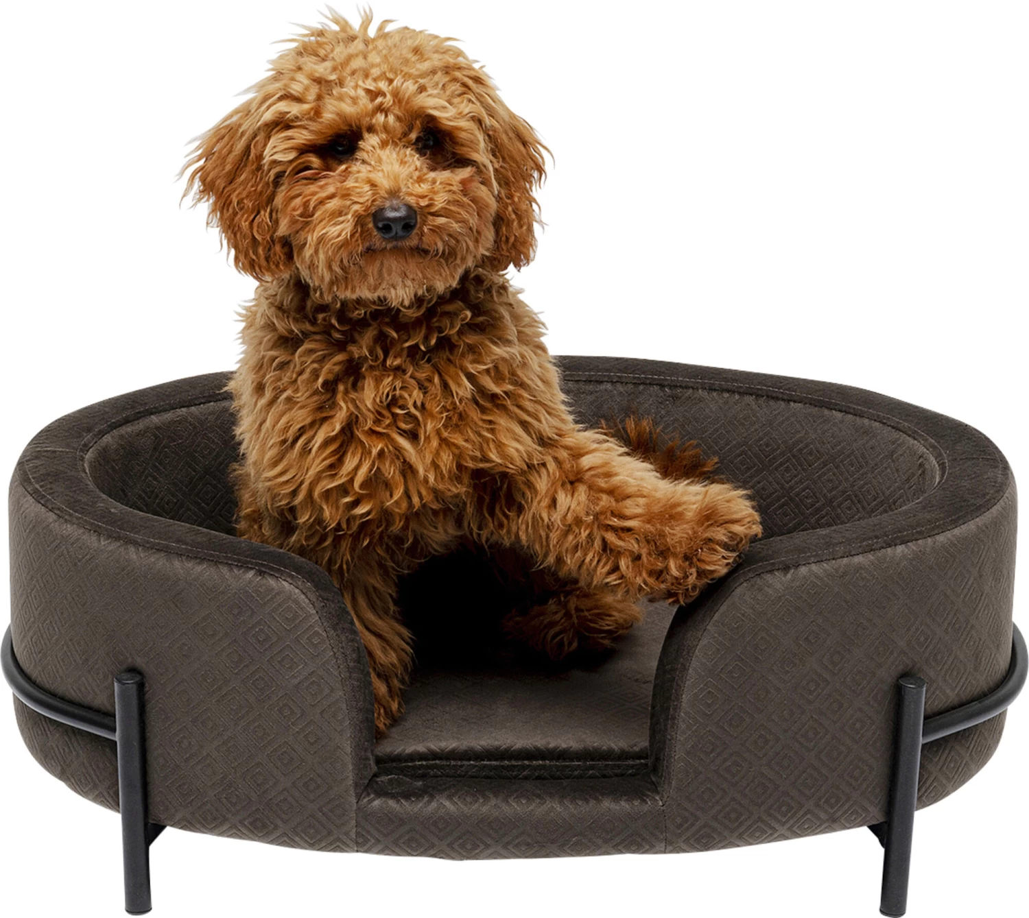 Hund/Katzenbett Dream Day Grau – Bild 11