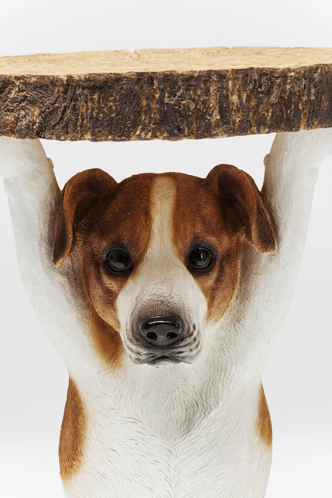 Beistelltisch Animal Mr Jack Ă33cm â Bild 11