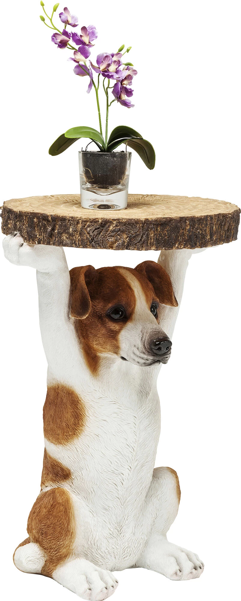 Beistelltisch Animal Mr Jack Ă33cm â Bild 7