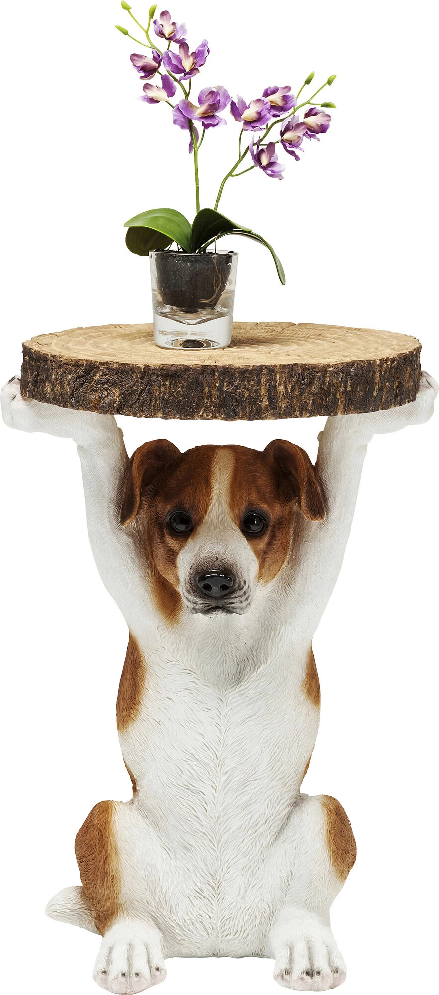 Beistelltisch Animal Mr Jack Ă33cm â Bild 13