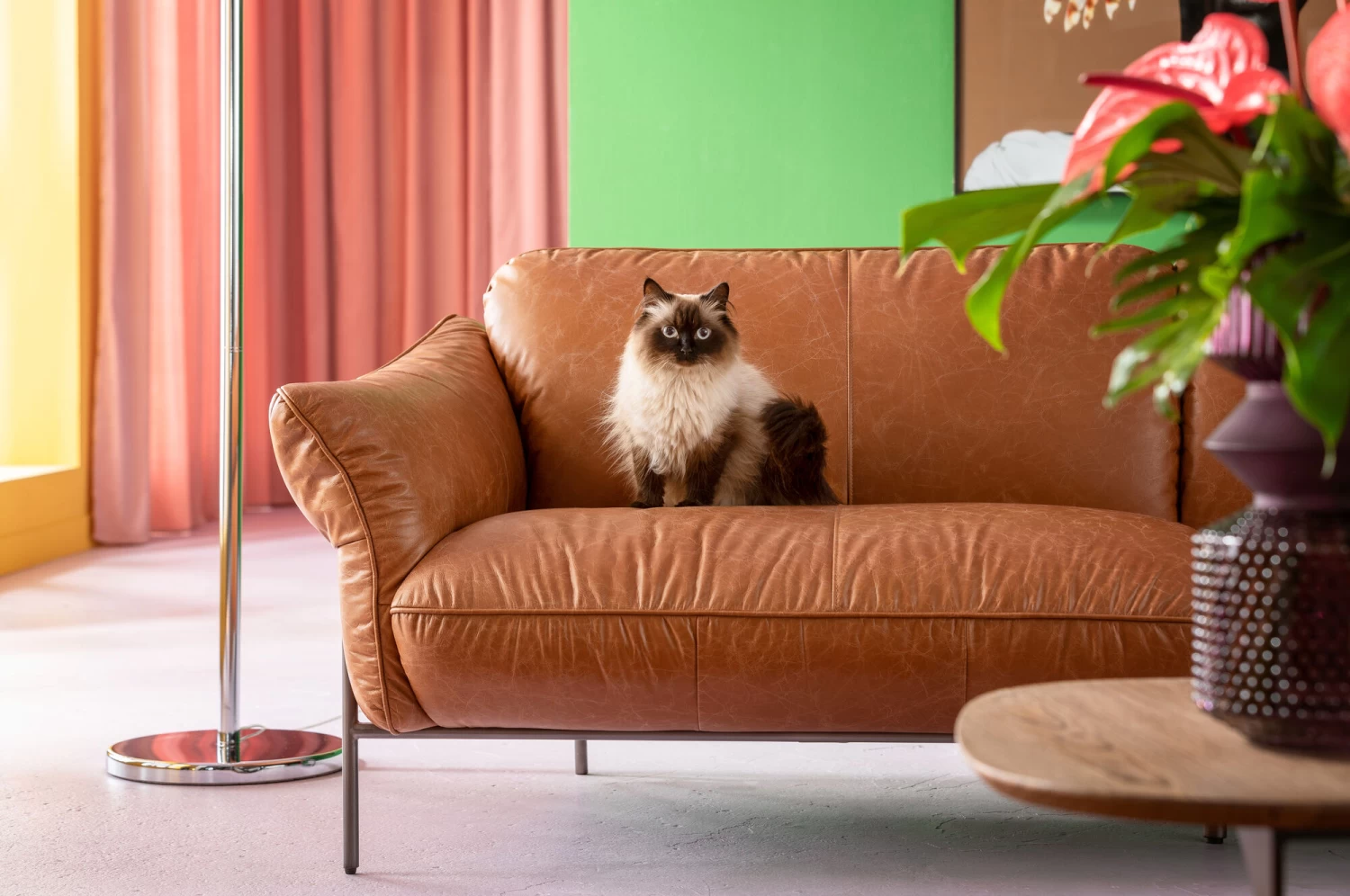 Sofa Napa 226cm – Bild 4